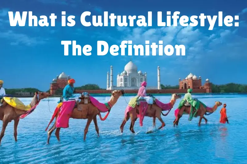 what is cultural lifestyle the definition